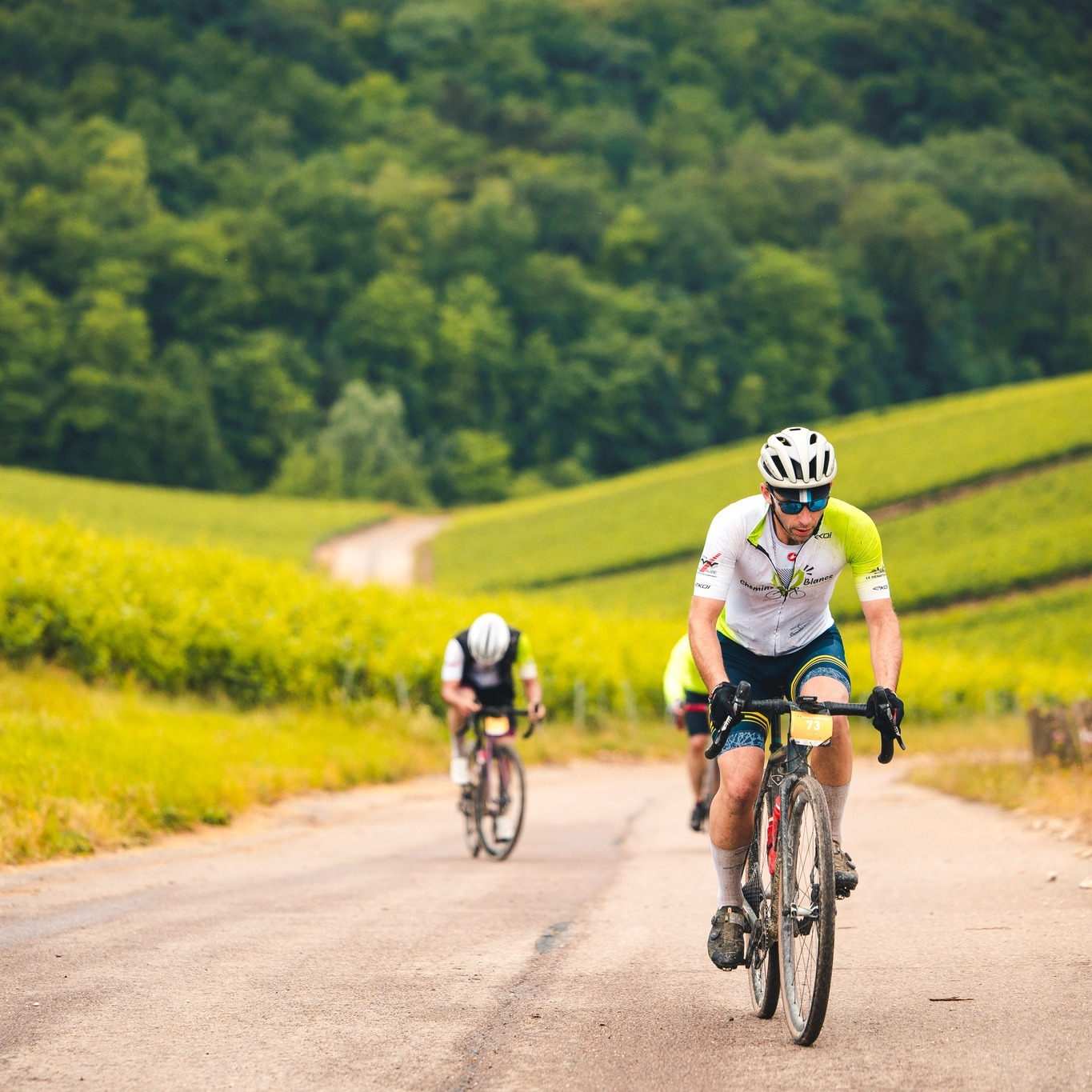 Non, il n'y a pas que des Chemins Blancs ! 🚴

Si le gravel du samedi fait la part belle aux Chemins Blancs, l'épreuve route du dimanche se déroule majoritairement sur 𝐛𝐢𝐭𝐮𝐦𝐞. 
Les parcours 2026 ont été retravaillé afin de réduire le risque éventuel de crevaisons. 

👉 De 34 à 150 km, à chacun(e) la possibilité de s’initier. Malgré une météo capricieuse en 2025, les sourires à l’arrivée ont révélé une belle découverte et un retour aux sources d'emprunter les chemins de traverse. Ainsi, le pourcentage de Chemins Blancs doublera en 2026. Pas moins de 35 kilomètres de graviers fins prévus sur le grand parcours, le tout réparti en 15 secteurs dont 8 certifiés par le passage du Tour de France ces dernières années (hommes ou femmes). 
Une épreuve pas comme les autres qui fera de tous les finishers des champion(ne)s. 😈

𝐈𝐧𝐟𝐨𝐫𝐦𝐚𝐭𝐢𝐨𝐧𝐬 & 𝐢𝐧𝐬𝐜𝐫𝐢𝐩𝐭𝐢𝐨𝐧𝐬 ⤵️
✍️ https://cyclo-barsuraubecheminsblancs.com

📸@alanis_pic_ 

#BARSURAUBECHEMINSBLANCS #gravel #route #barsuraube #cheminsblancs #cyclo #Cyclosportive #granfondo #pierreRolland #attaquedepierrerolland #aube #champagne #barsuraube #cotedesbar #aube #grandest #eko