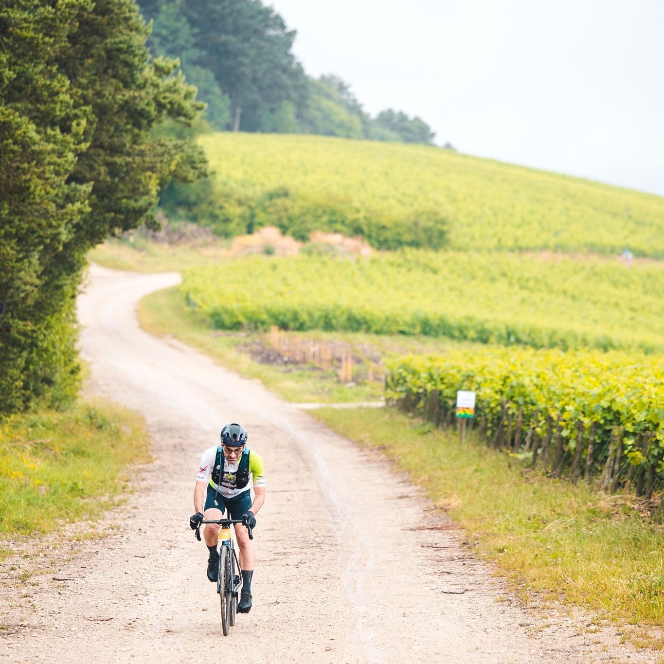 🍇 Alors ces chemins blancs ? Vous avez aimez ? 
Vous en vouliez plus : vous aurez le double ! 🤪

𝐈𝐧𝐟𝐨𝐫𝐦𝐚𝐭𝐢𝐨𝐧𝐬 & 𝐢𝐧𝐬𝐜𝐫𝐢𝐩𝐭𝐢𝐨𝐧𝐬 ⤵️
✍️ https://cyclo-barsuraubecheminsblancs.com

📸 @alanis_pic_ 

#BARSURAUBECHEMINSBLANCS #gravel #route #barsuraube #cheminsblancs #cyclo #Cyclosportive #granfondo #pierreRolland #attaquedepierrerolland #aube #champagne #barsuraube #cotedesbar #aube #grandest #ekoi
